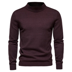 Daniel | Warmer Rollkragenpullover